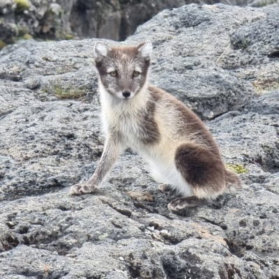 BGPhysio's profile picture. We all expect to be able to move. To walk. To run. Everyday things we take for granted. Have the freedom to do things again