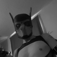 B L A C K Y (@blackypupmx) 's Twitter Profile