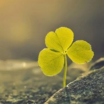 AKONTK02's profile picture. 