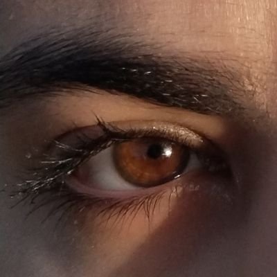 Sara87507's profile picture. I won't give up
https://t.co/Ewock3H6vV
عرزشی❌
2002