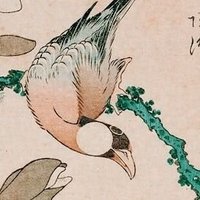 新・文鳥🐥 (@humitori_dayo) 's Twitter Profile Photo