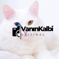 Vanın Kalbi (@vaninkalbii) 's Twitter Profile