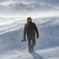 Mikko (@mikkolagerstedt) 's Twitter Profile Photo Mikko (@mikkolagerstedt) 's Twitter Profile Photo