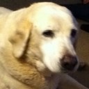 Dustin  Hester - @dustinhester20 - Twitter