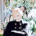 キト❂Fenrir (@kito_w_f) Twitter profile photo キト❂Fenrir (@kito_w_f) Twitter profile photo