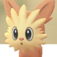 HY1LY1's profile picture. 엉중이라는 모기가 평생 듄듀 피만 빨아먹으며 행복하게 살아가기를.. (ㅈㅃ)