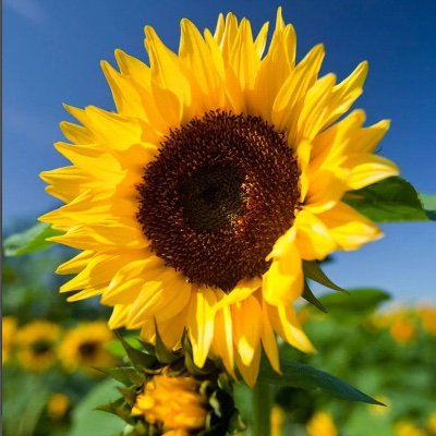 _48414's profile picture. 