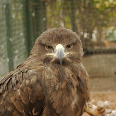 abtr_future's profile picture. 🔴 برای عدالت و آزادی در ایران می‌جنگد!