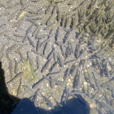 ma59015's profile picture. 