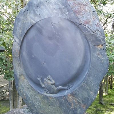 FrogStonecold's profile picture. 