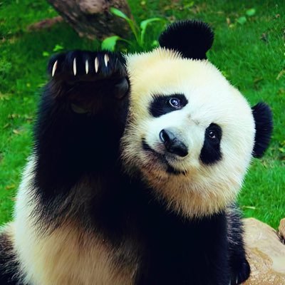 我が国が大好きです。新NEV派であり、反炭素派です!世界から憎しみや悲しみを払拭する為、偏狭や偏見、戦争を禁じるべきである。平和と外交を心願します。🇯🇵🇸🇬🇨🇳 れいわ新選組を支持しています。日本語と英語を話す多言語話者です。主役項目はテク、ソフトウェア企業、NEVソシテ政治関連です。思った事をつい呟きます
