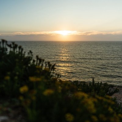 yhung_john1's profile picture. I am a Virtual Assistant | Social Media Management | Content Creation | Helping entrepreneurs & businesses save time, stay consistent, and grow online.