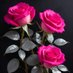 Patil (@absarah19201931) Twitter profile photo Patil (@absarah19201931) Twitter profile photo