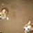 HelenWilliams55's profile image