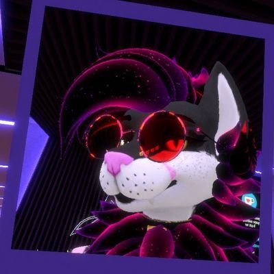 HdMapache's profile picture. 
