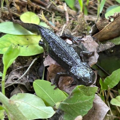 u_jjjk's profile picture. 