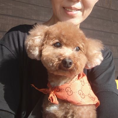2018年8月4日〜シンガーソングライターの、磯山純さんを応援しています🎵🎸〜✨
素敵な名曲♪に、いつも支えられています🌠

☆石川県在住