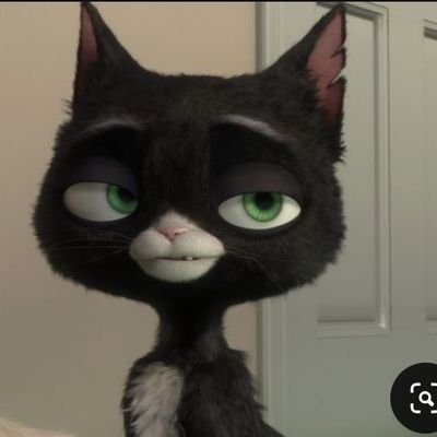 mittenspsipsi's profile picture. Nunca foi um bom exemplo, mas era gente boa -- Rita Lee