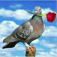 MGALATIA WA( 2)🍎🍏🍇 (@jitambuee) 's Twitter Profile Photo