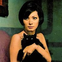 VintageMiaow (@vin_mi_wow) 's Twitter Profile