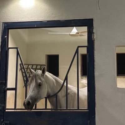 loveSOSOlalala's profile picture. Dec💙