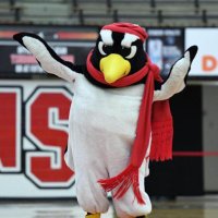 YSU Women’s Soccer Fans🐧 (@ysuwsoccerfans) 's Twitter Profile Photo YSU Women’s Soccer Fans🐧 (@ysuwsoccerfans) 's Twitter Profile Photo