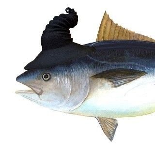 WickedThunfisch's profile picture. German Band with a taste for Tuna.🐟