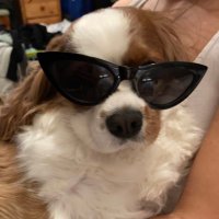 Ursula (@ursula1038793) 's Twitter Profile