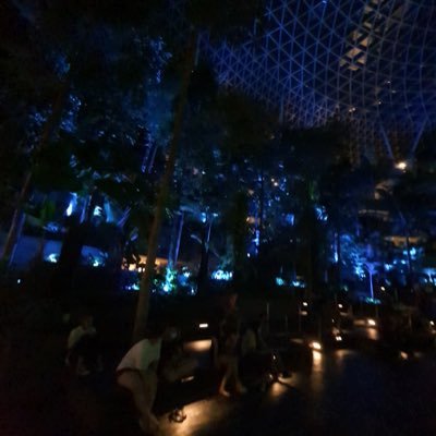 kotaroito0315's profile picture. 