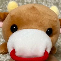自由人 (@wolo_yolo_tolo) 's Twitter Profile Photo 自由人 (@wolo_yolo_tolo) 's Twitter Profile Photo