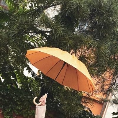 とりぴっぴー！さんのプロフィール画像