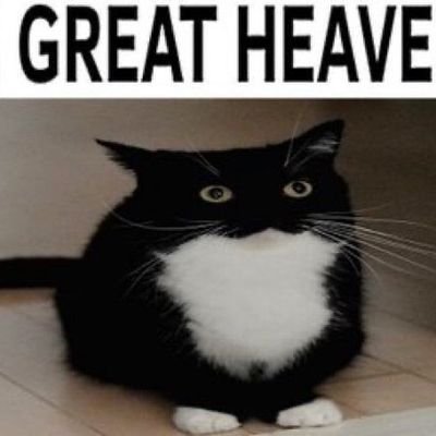 lucyslettuce's profile picture. 