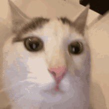 komandos822's profile picture. Crypto Maniac