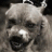 ziqojakyxyr's profile image