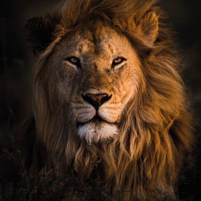 The boy child needs love. Testosterone isn't a curse. Stop shouting at them, just coach them through life. Because no one gives a fuck about them.
