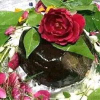 पंडित नारायन शर्मा(शास्त्री) (@nsharma_46380) 's Twitter Profile