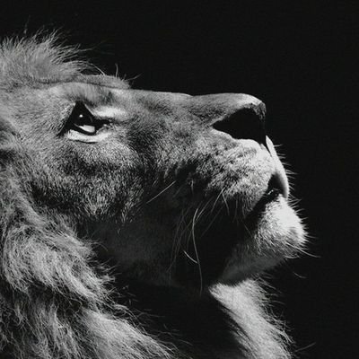 umer_karlal's profile picture. Lets Hunt Airdrops & Alphas !!!

Crypto Enthusiast Since 21' | Architect | Web3 Gaming