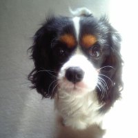 おばんA (@i4cxbfkvwrupjs0) 's Twitter Profile Photo おばんA (@i4cxbfkvwrupjs0) 's Twitter Profile Photo