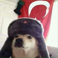 Kerim (@kerimcgy) 's Twitter Profile