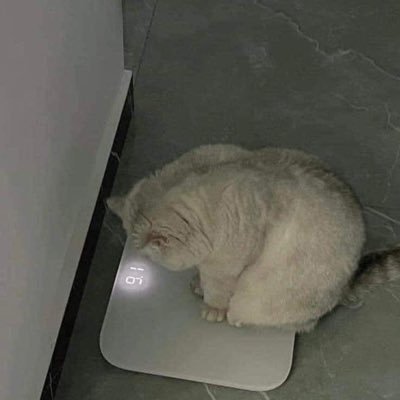 Thana5665's profile picture. 