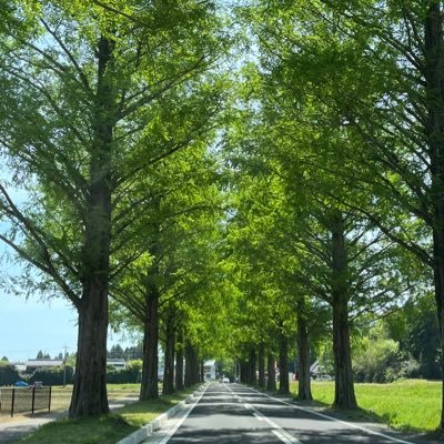 PNXP6yoHdzhSBvr's profile picture. 仕事→30代|労務関係を1人で担当 ⭐︎次女中受2025