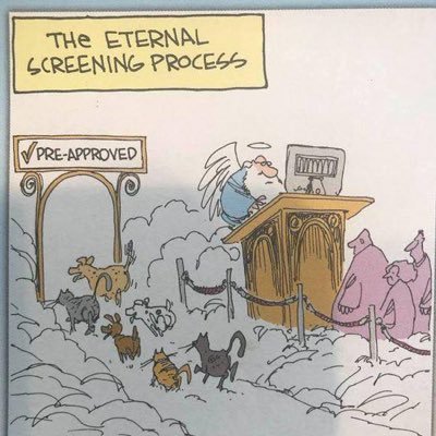 vivifrombr's profile picture. just me