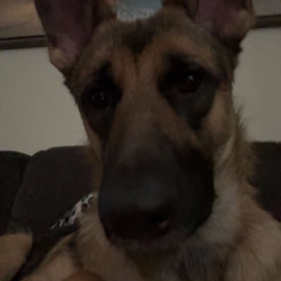 therealjoshm2's profile picture. 