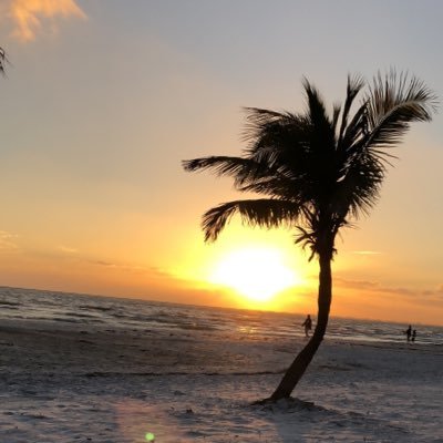 jakeplaster's profile picture. 