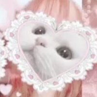 にゃおこページ♡⃜ にゃんこせんせい🐾skeb SALE中！ on X: 