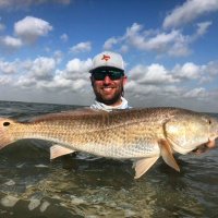 Zachary Symm (@zachatthedisch) 's Twitter Profile Photo Zachary Symm (@zachatthedisch) 's Twitter Profile Photo