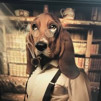 T’chambes 🇫🇷⚜️🥨 (@t_chambes) 's Twitter Profile