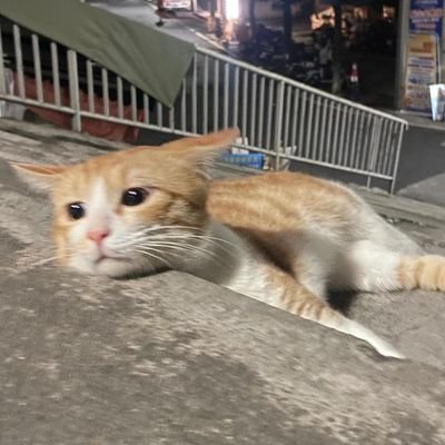 Gloomy_mondayさんのプロフィール画像