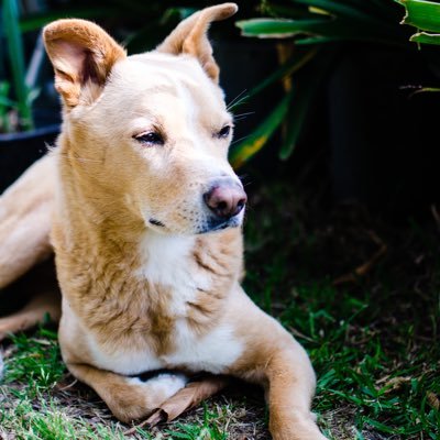 Felix_Chen's profile picture. 