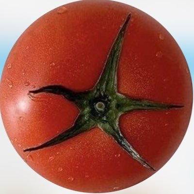 my_ocean_sea's profile picture. 